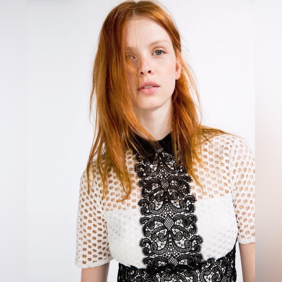 🛍️2for$20🛍️ [s] ZARA Dress white lace topped black with collar - Picture 5 of 13